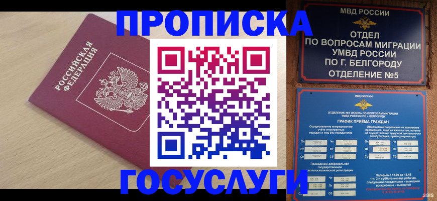прописка законно в Кандалакше